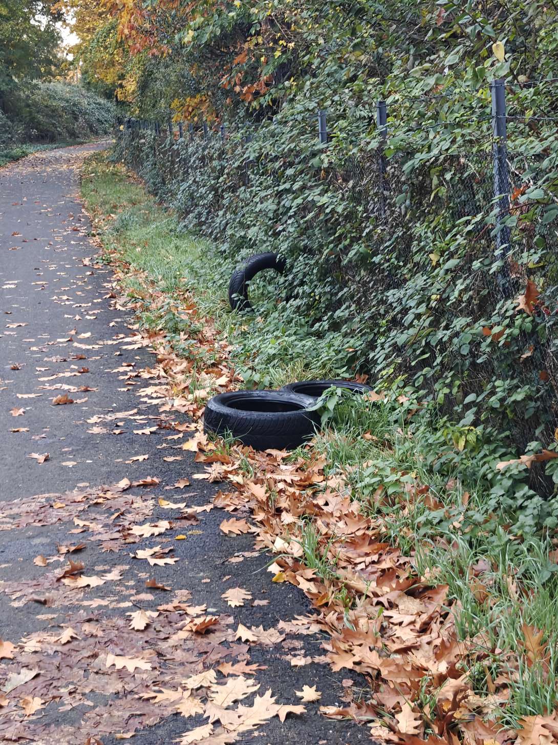 Bild zu gemeldetem Anliegen vom *2025-11-03 10:01:24