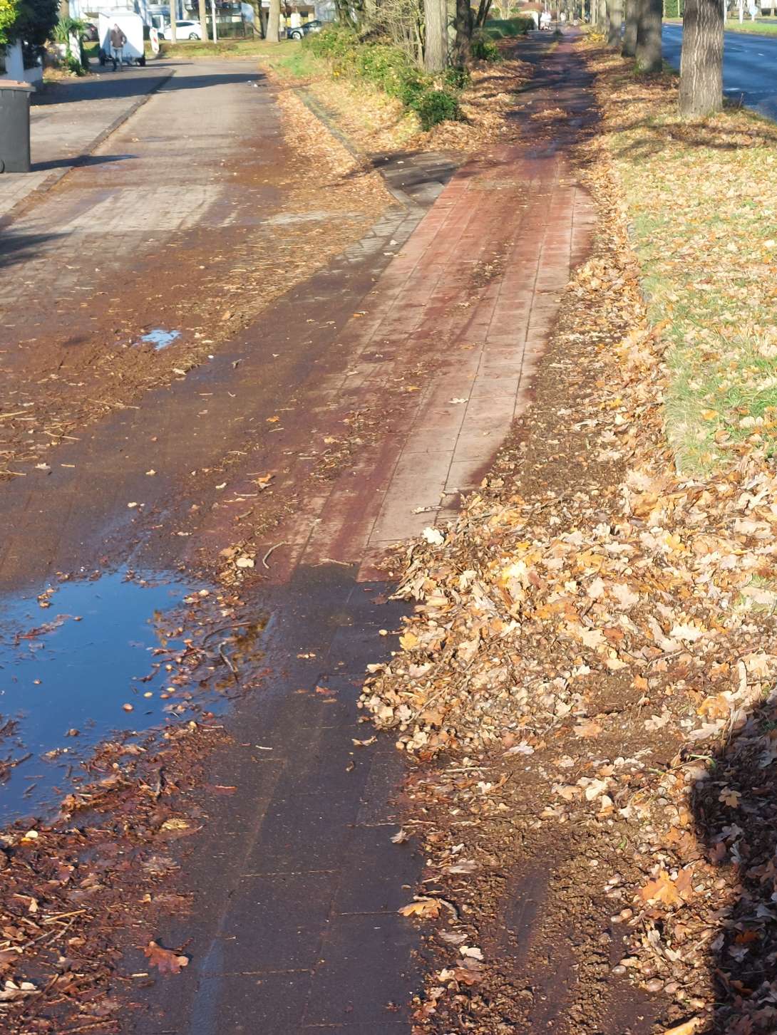 Bild zu gemeldetem Anliegen vom *2025-11-24 21:35:43