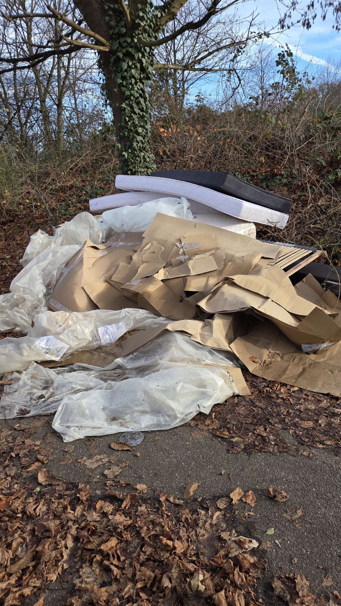 Bild zu gemeldetem Anliegen vom *2025-11-22 13:33:48