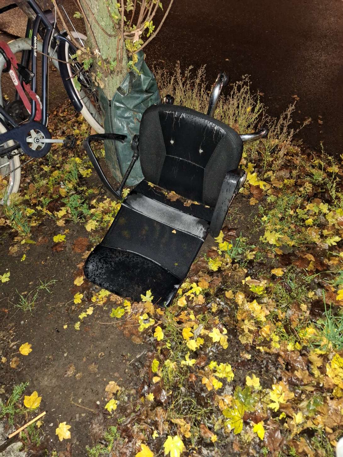 Bild zu gemeldetem Anliegen vom *2025-11-03 10:32:33