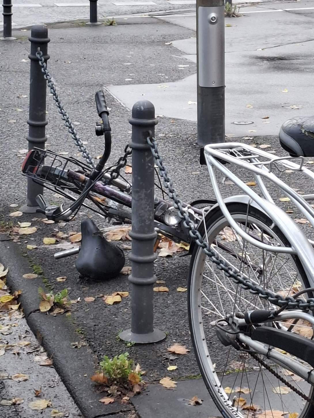 Bild zu gemeldetem Anliegen vom *2025-11-02 09:32:43