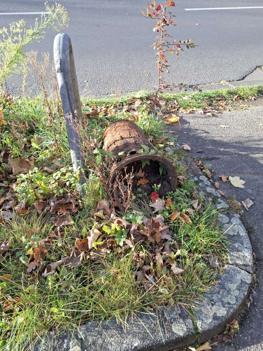 Bild zu gemeldetem Anliegen vom *2025-11-05 15:45:44