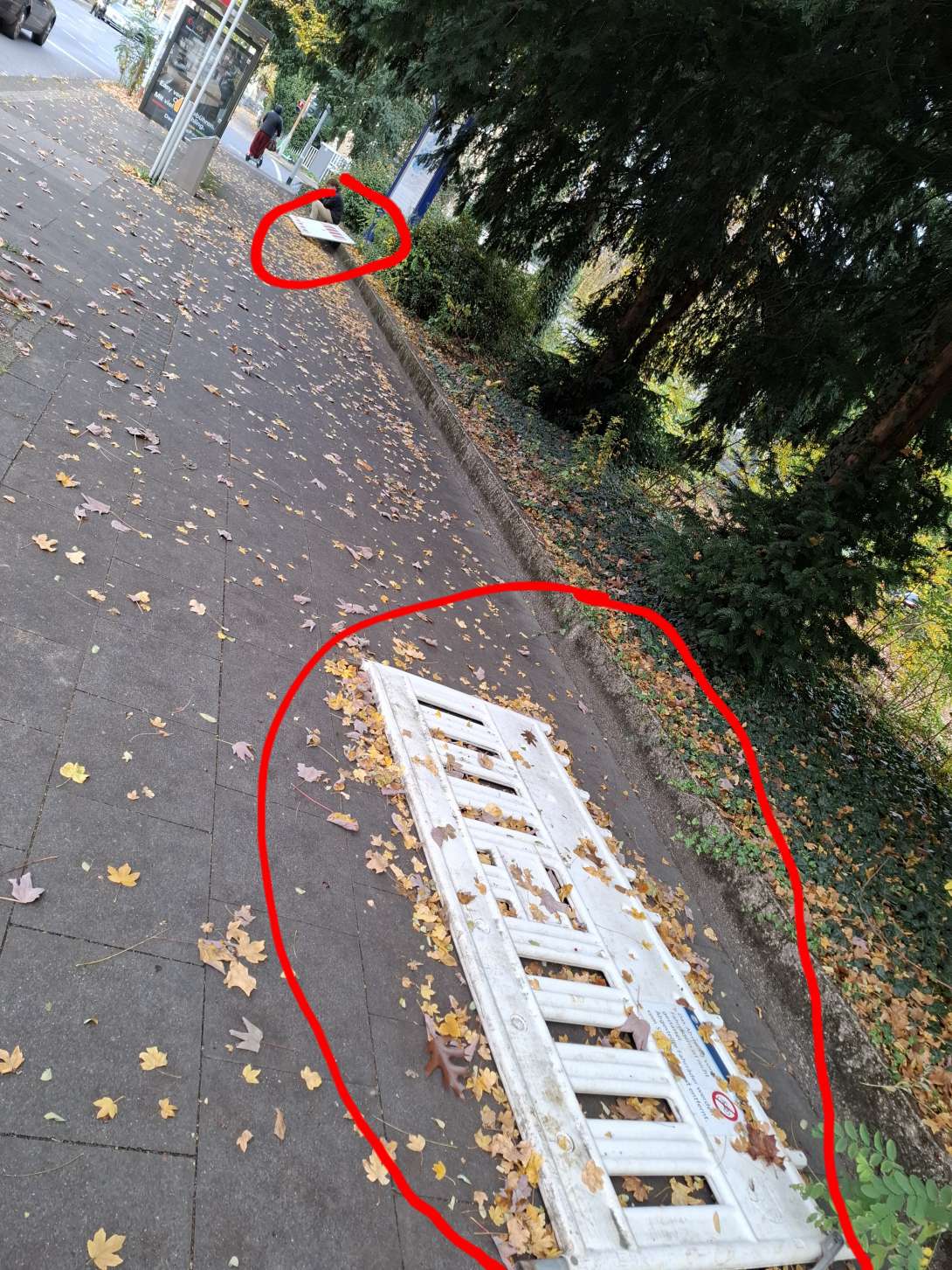 Bild zu gemeldetem Anliegen vom *2025-11-10 06:24:38