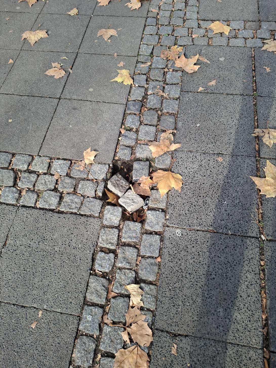 Bild zu gemeldetem Anliegen vom *2025-11-10 13:33:56