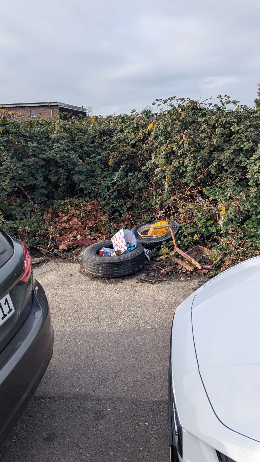 Bild zu gemeldetem Anliegen vom *2025-11-24 13:38:39