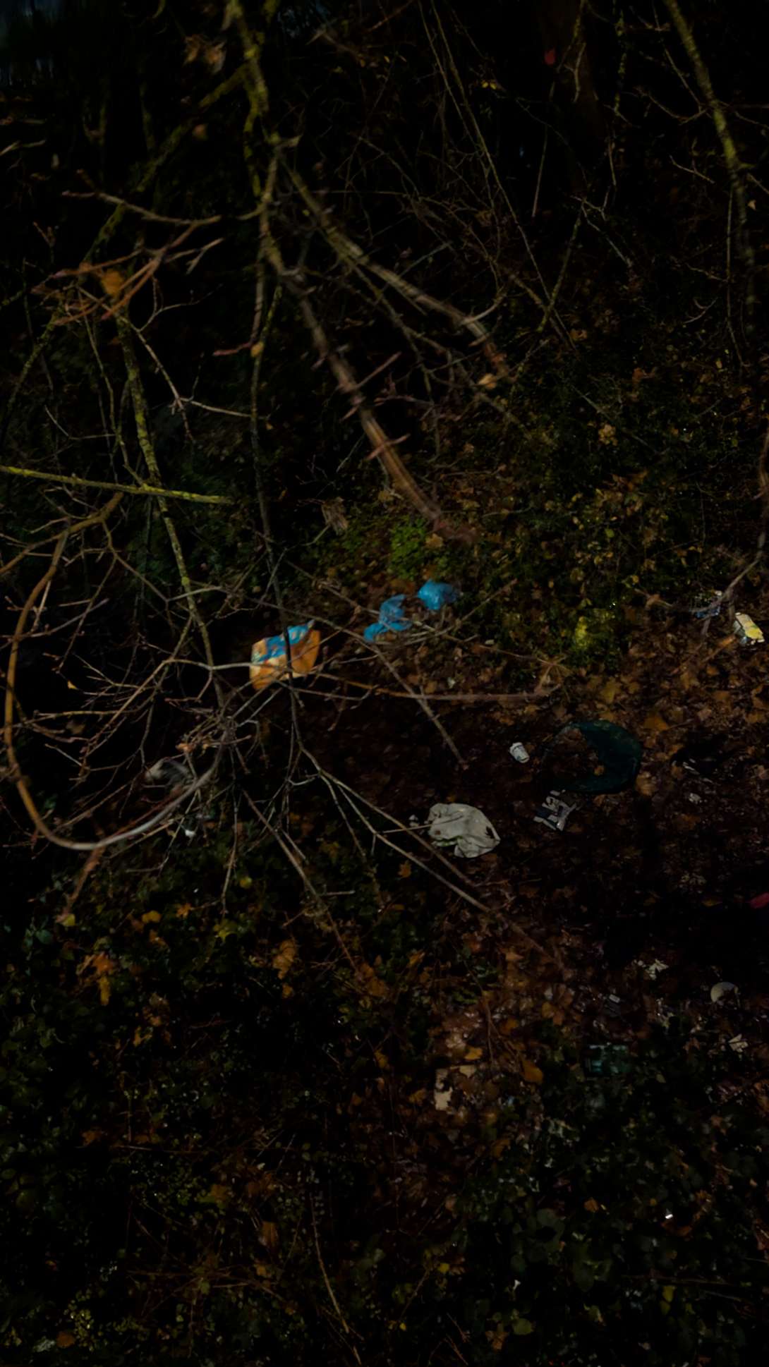 Bild zu gemeldetem Anliegen vom *2025-12-01 10:22:14