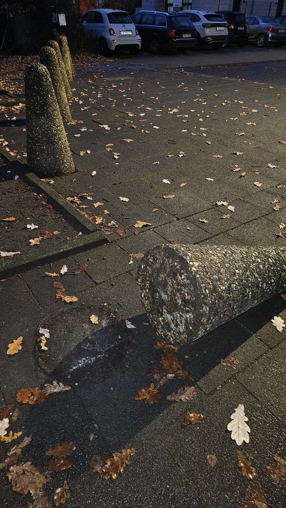 Bild zu gemeldetem Anliegen vom *2025-11-16 07:19:08