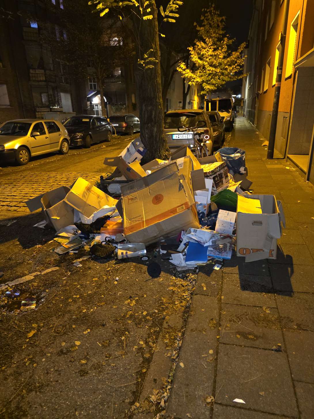 Bild zu gemeldetem Anliegen vom *2025-11-17 20:49:24