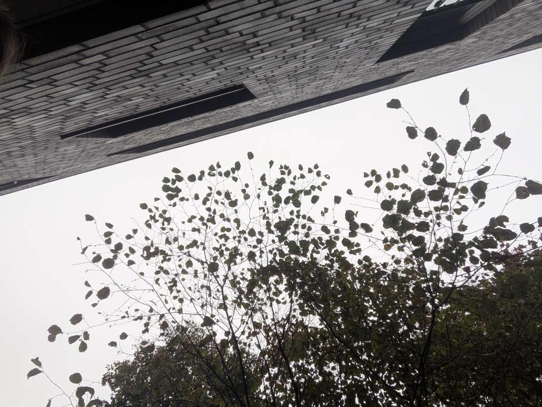 Bild zu gemeldetem Anliegen vom *2025-11-09 09:57:16