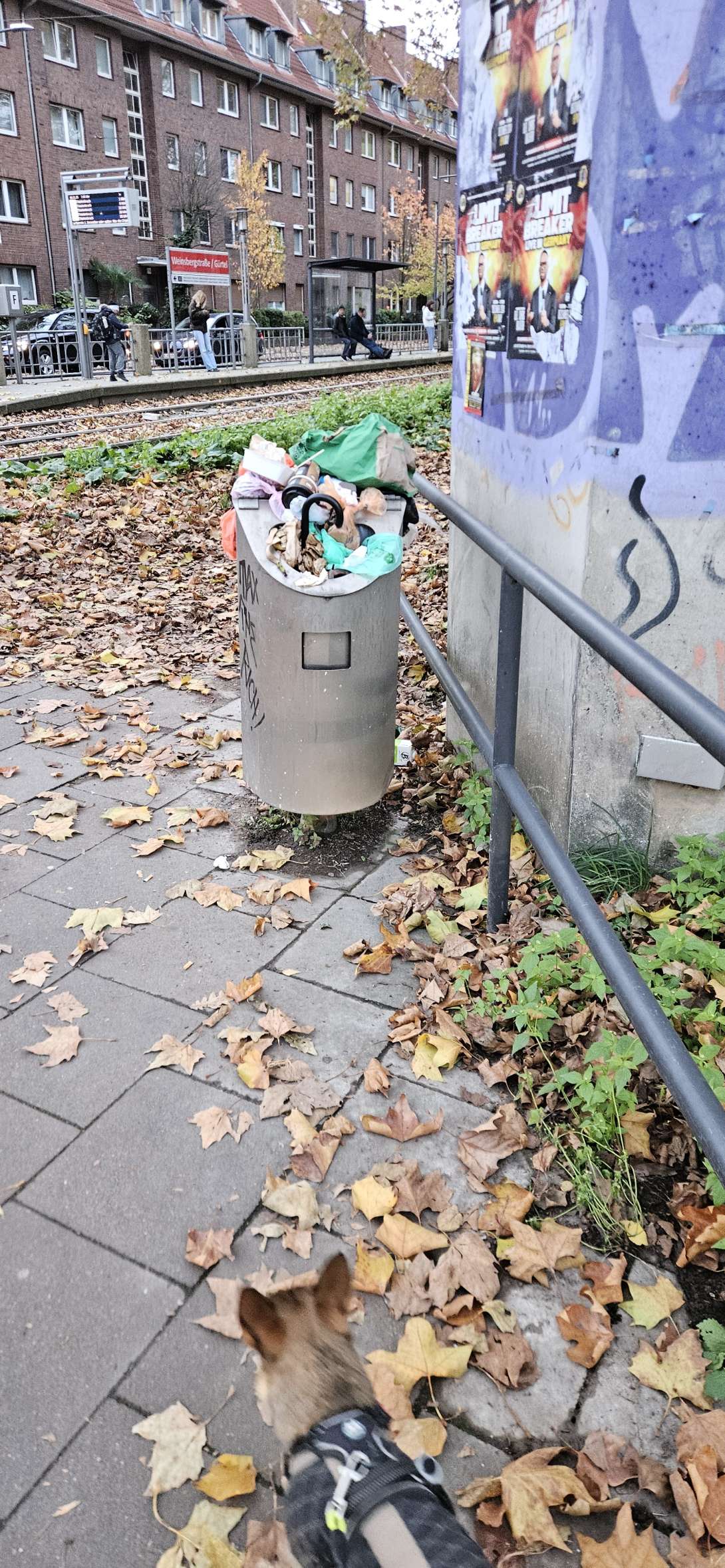 Bild zu gemeldetem Anliegen vom *2025-11-05 10:53:33