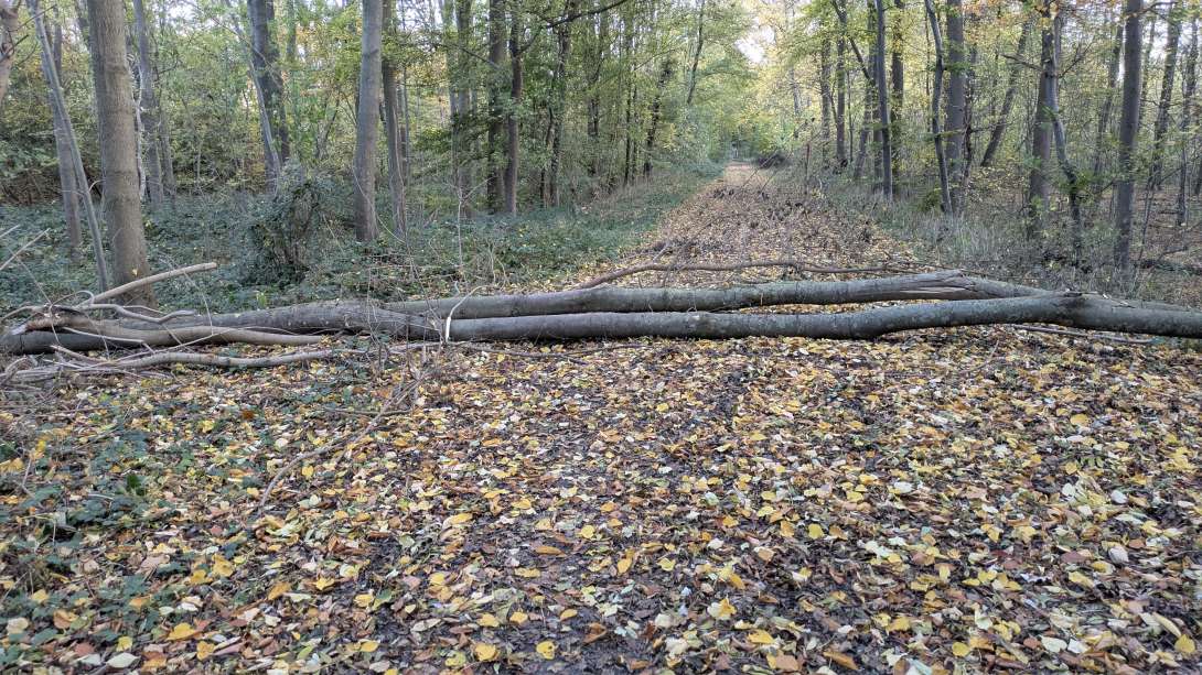 Bild zu gemeldetem Anliegen vom *2025-11-05 14:26:34