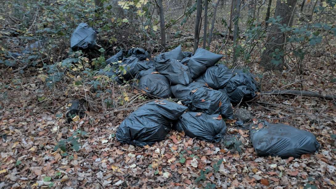 Bild zu gemeldetem Anliegen vom *2025-11-15 09:28:36