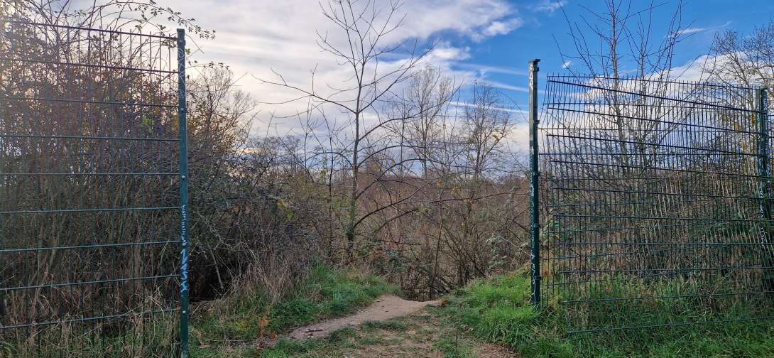 Bild zu gemeldetem Anliegen vom *2025-11-23 22:21:41