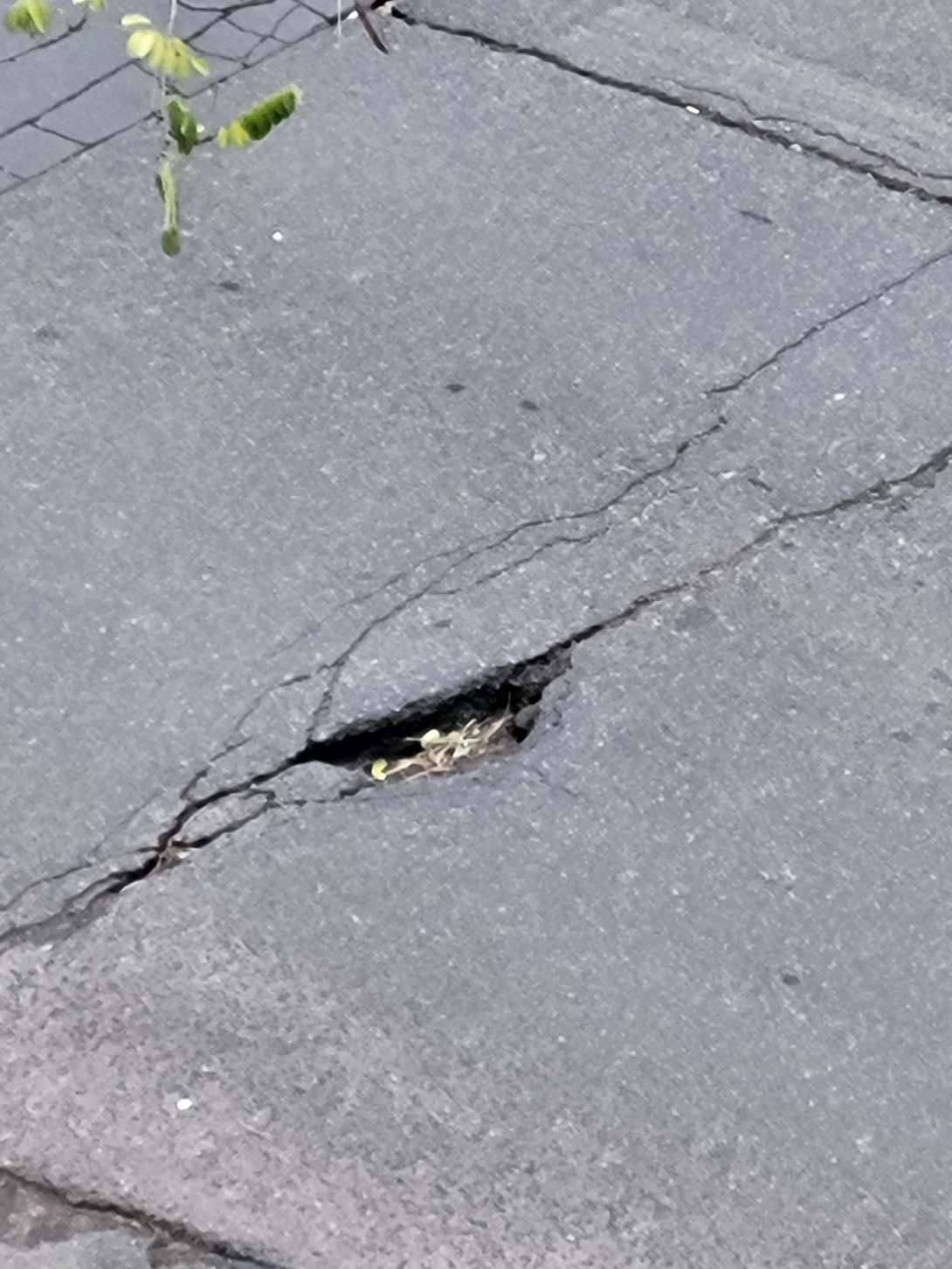 Bild zu gemeldetem Anliegen vom *2025-11-04 07:50:14