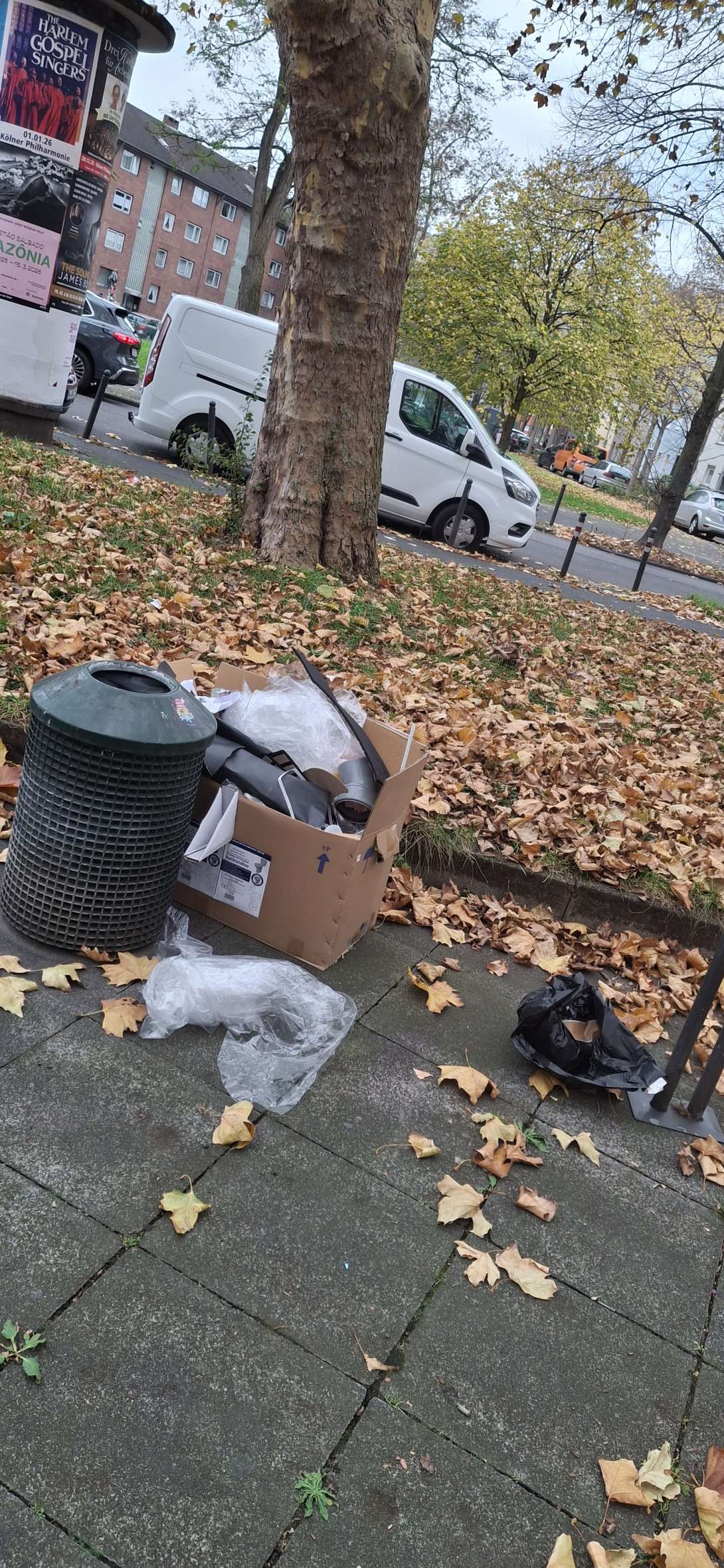 Bild zu gemeldetem Anliegen vom *2025-11-10 09:48:34