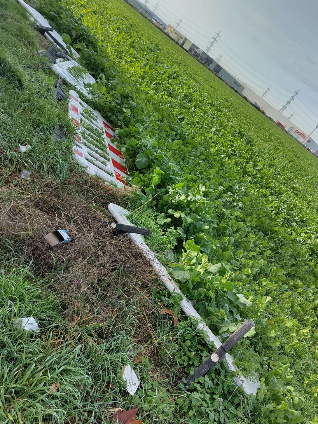 Bild zu gemeldetem Anliegen vom *2025-11-17 13:19:37