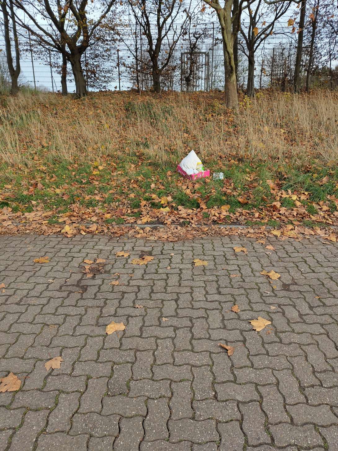 Bild zu gemeldetem Anliegen vom *2025-11-14 15:29:14