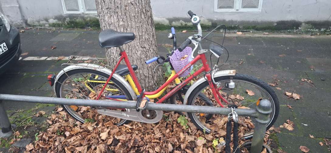 Bild zu gemeldetem Anliegen vom *2025-11-29 09:35:03