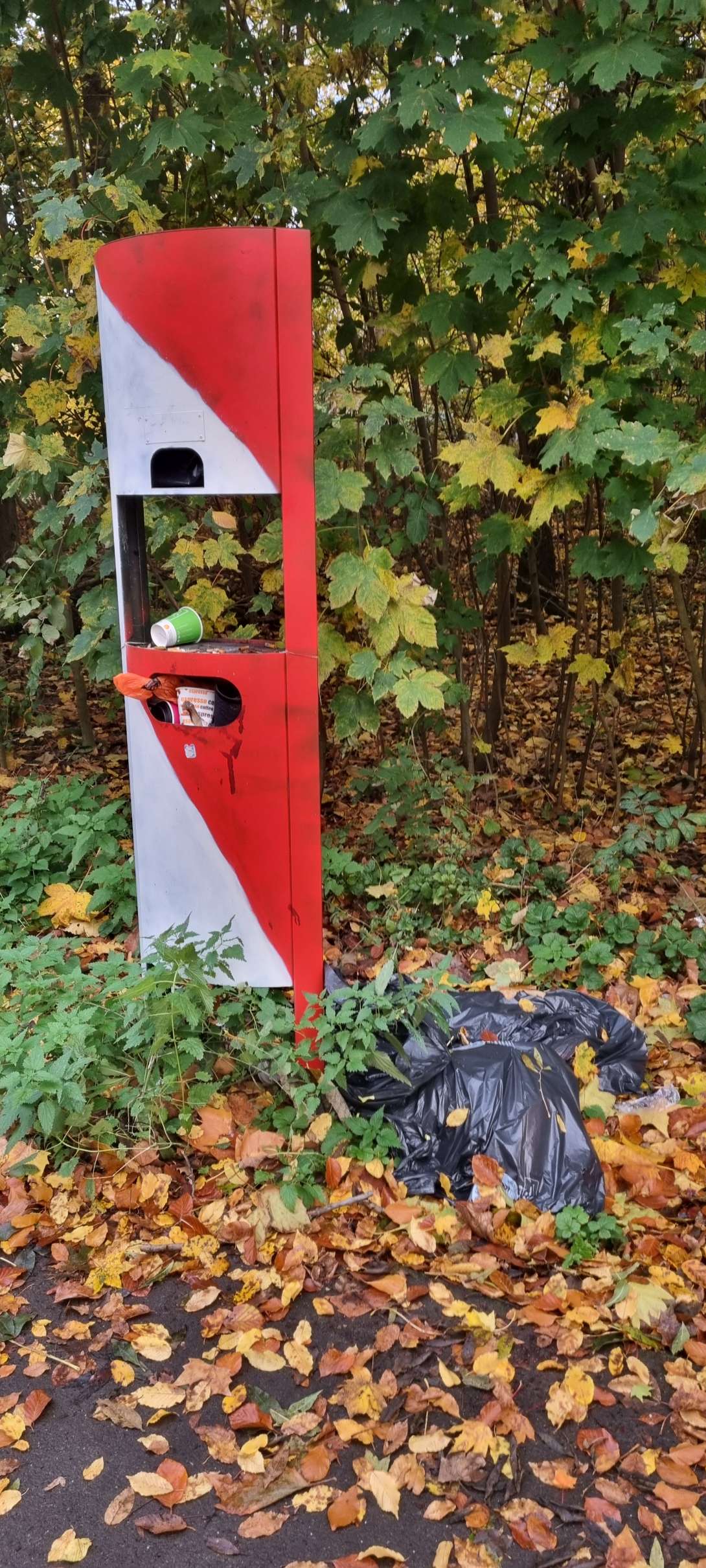 Bild zu gemeldetem Anliegen vom *2025-11-03 11:56:40