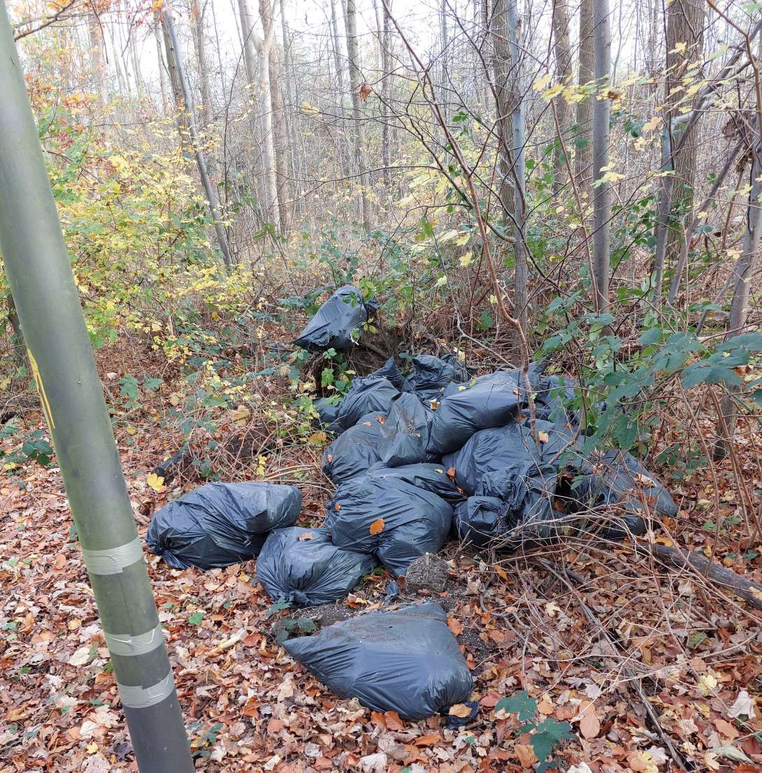 Bild zu gemeldetem Anliegen vom *2025-11-14 10:02:07