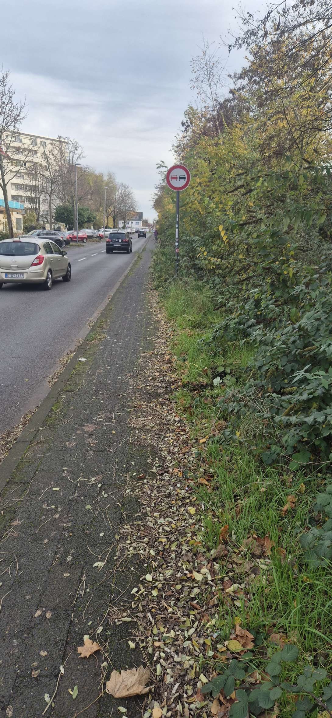 Bild zu gemeldetem Anliegen vom *2025-11-13 15:07:39