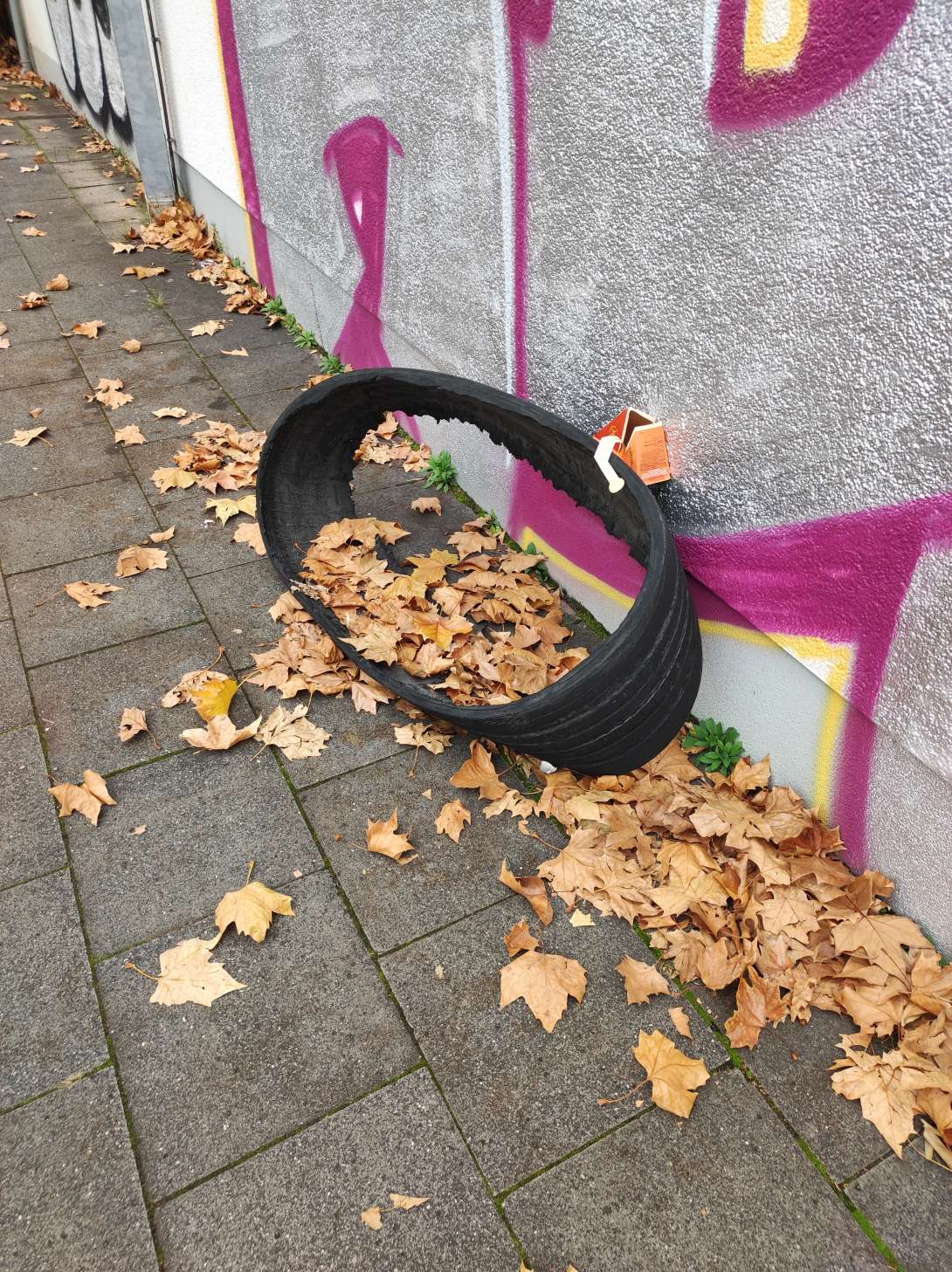 Bild zu gemeldetem Anliegen vom *2025-11-14 09:29:49