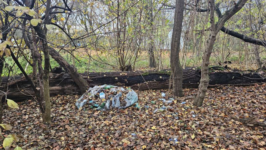 Bild zu gemeldetem Anliegen vom *2025-11-17 12:32:59