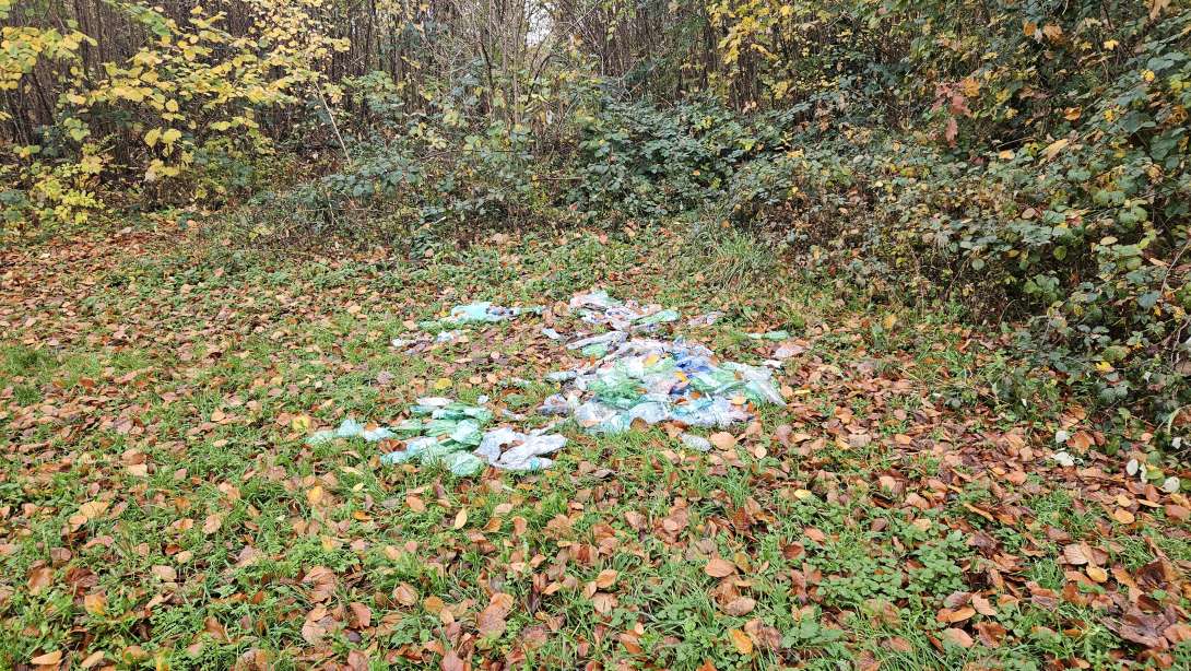 Bild zu gemeldetem Anliegen vom *2025-11-18 06:35:44