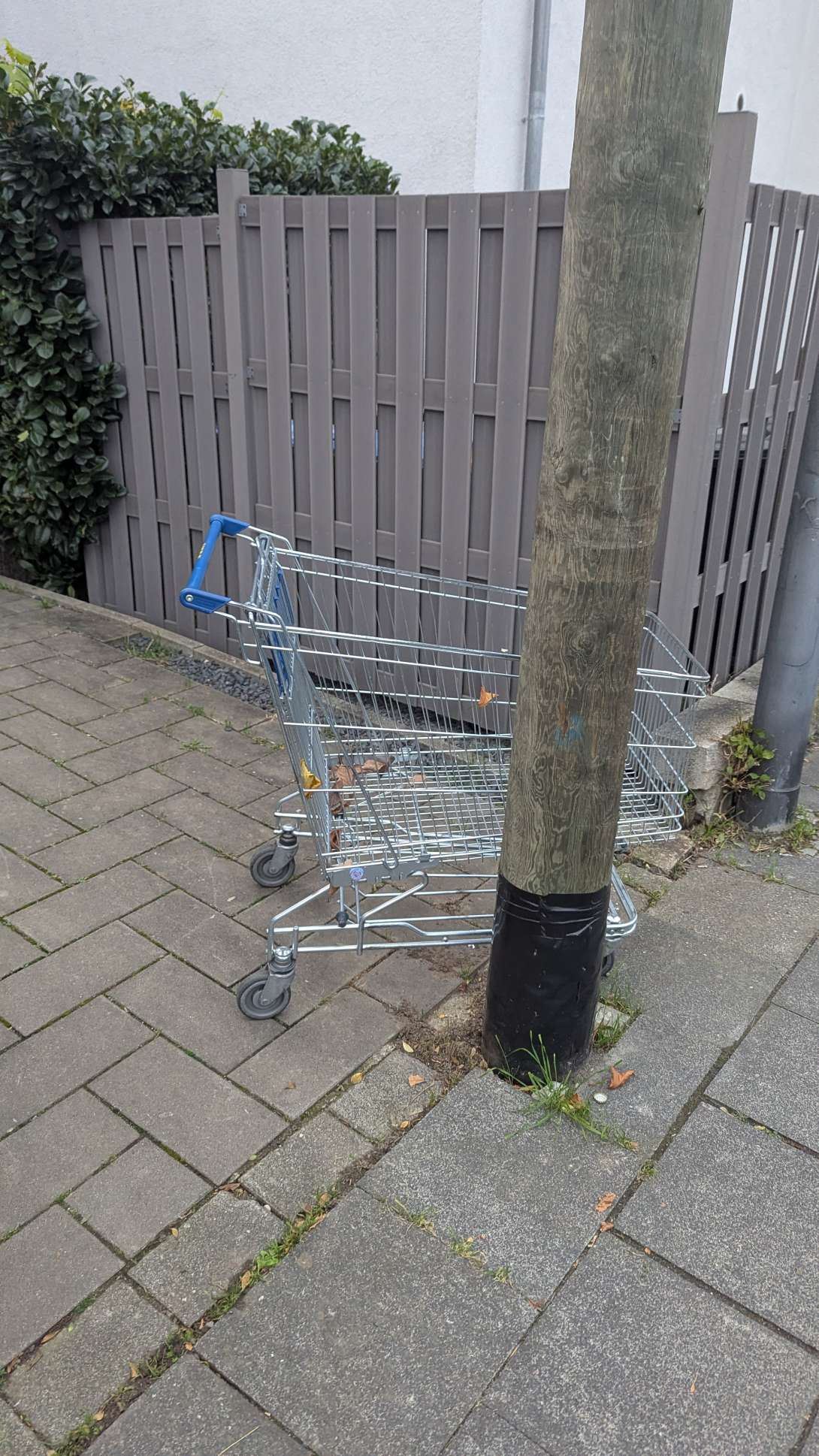 Bild zu gemeldetem Anliegen vom *2025-11-14 16:30:47