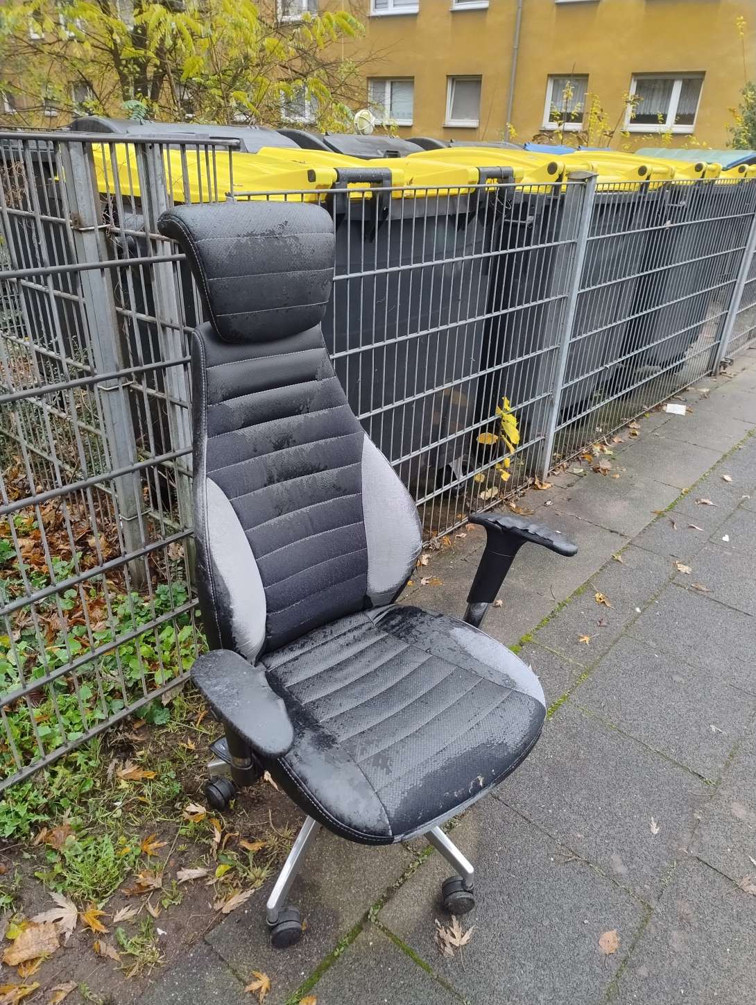 Bild zu gemeldetem Anliegen vom *2025-11-17 11:22:15