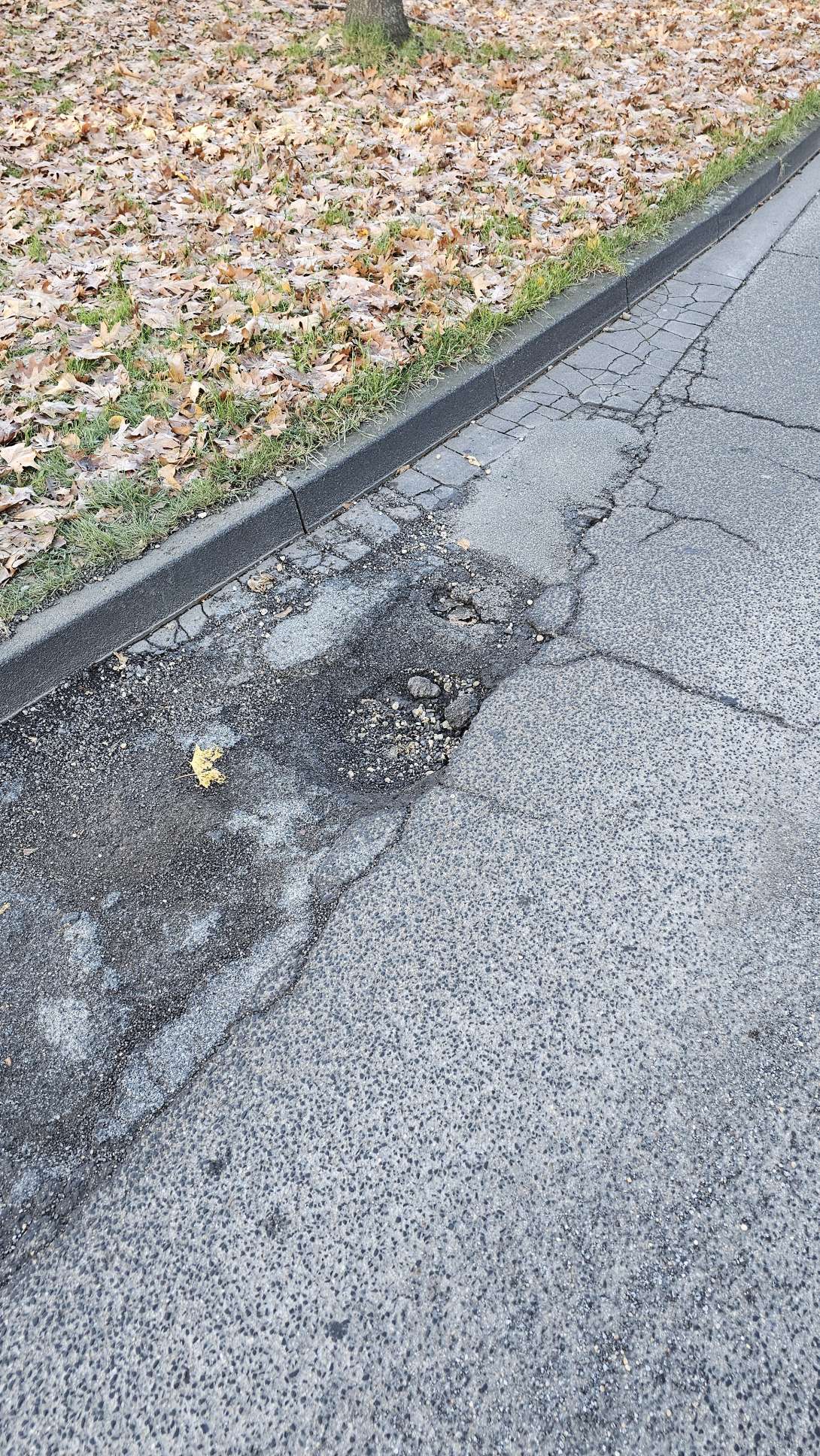 Bild zu gemeldetem Anliegen vom *2025-11-22 10:55:35