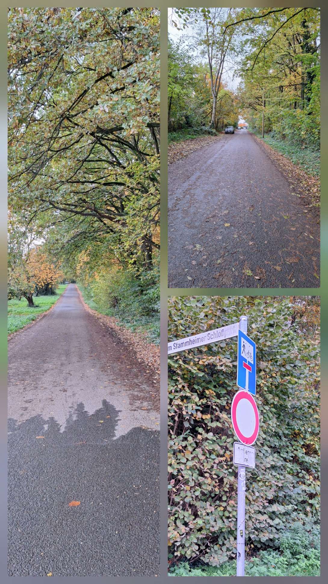 Bild zu gemeldetem Anliegen vom *2025-11-03 15:28:41