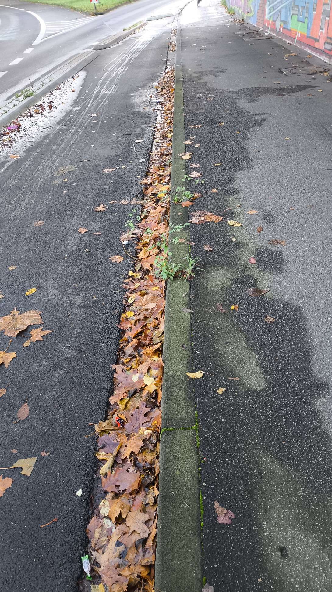 Bild zu gemeldetem Anliegen vom *2025-11-03 23:23:18