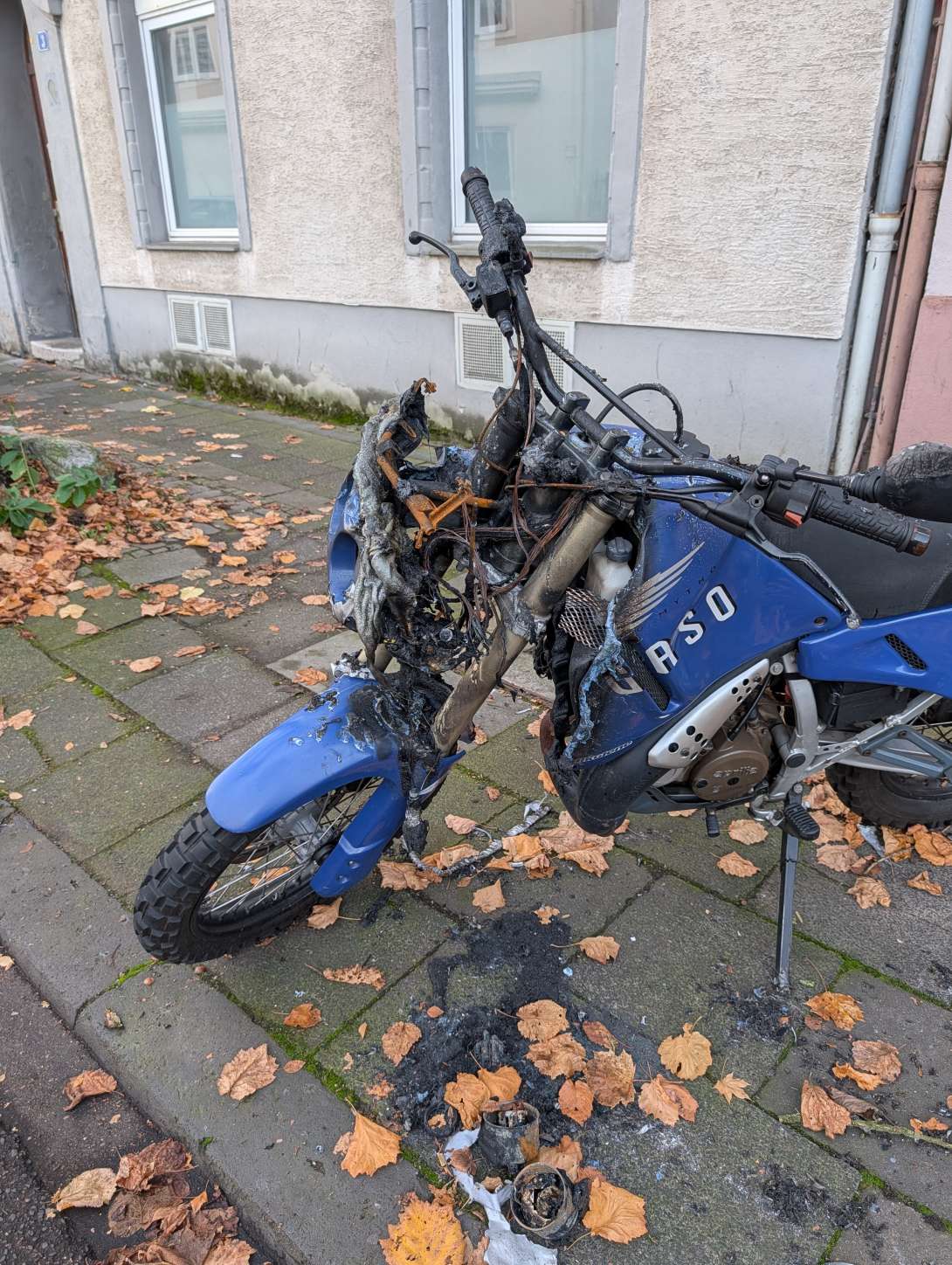 Bild zu gemeldetem Anliegen vom *2025-11-10 12:28:49