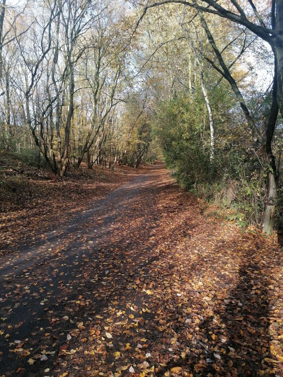 Bild zu gemeldetem Anliegen vom *2025-11-02 10:40:23