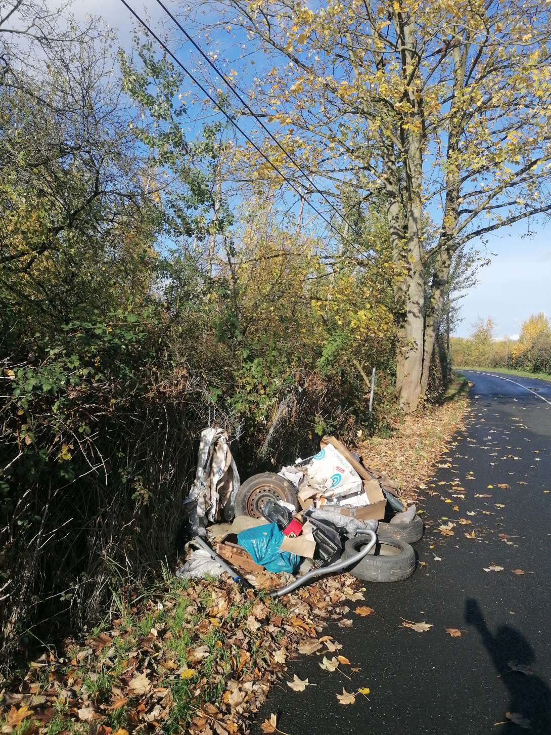 Bild zu gemeldetem Anliegen vom *2025-11-03 11:14:02