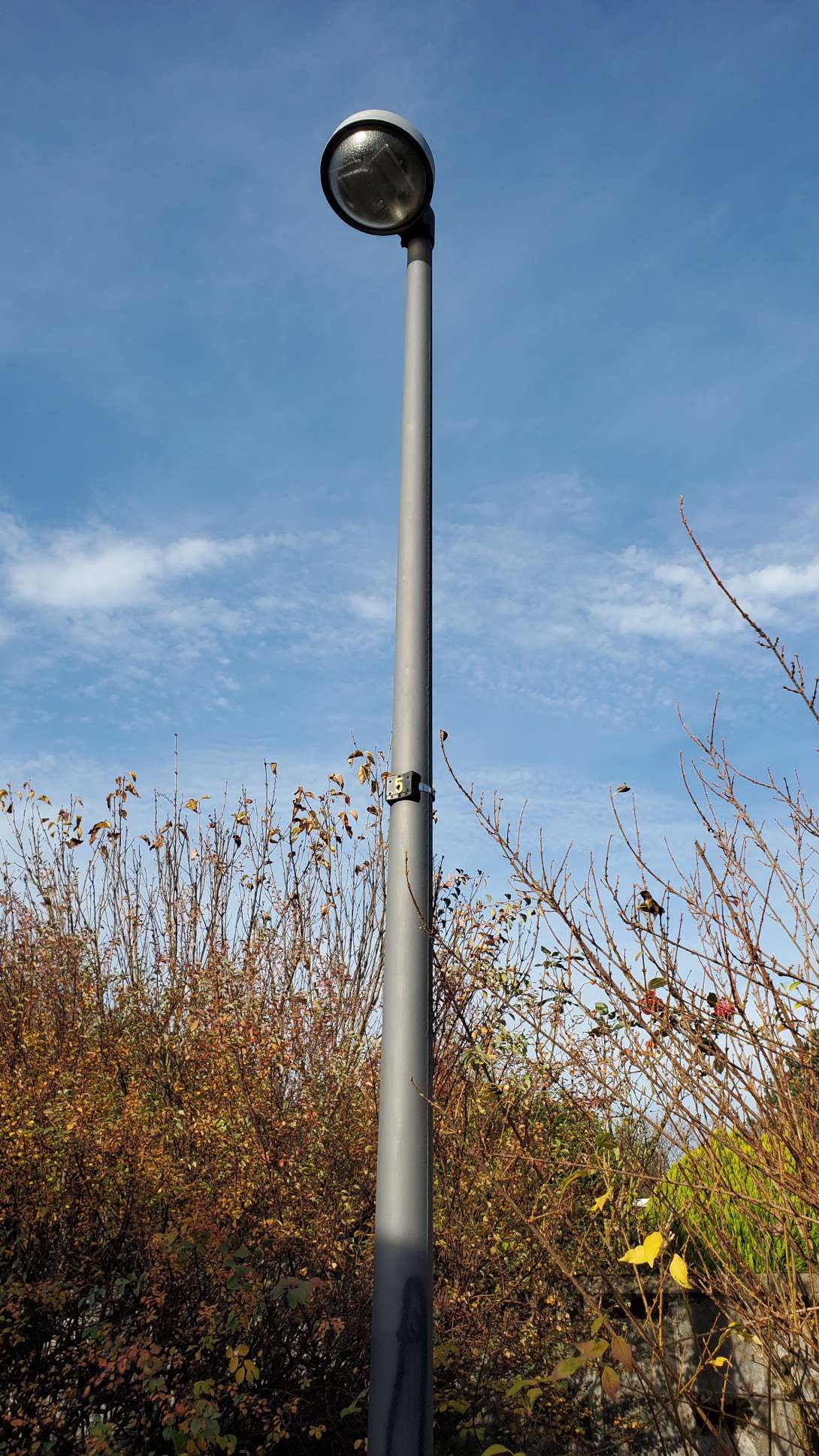 Bild zu gemeldetem Anliegen vom *2025-11-04 13:45:40