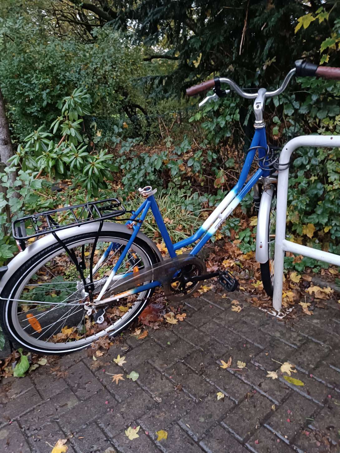 Bild zu gemeldetem Anliegen vom *2025-11-07 09:27:29