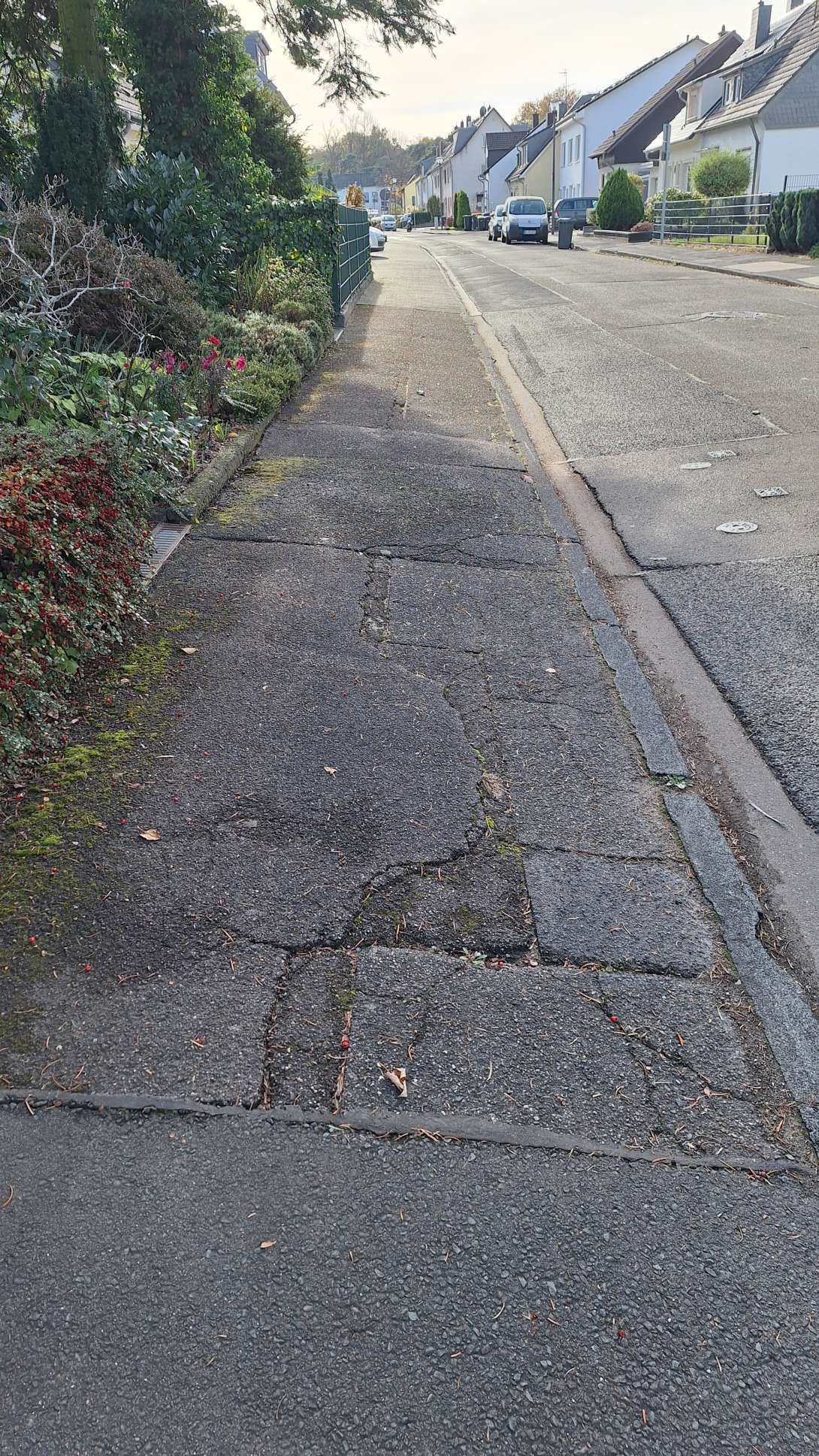 Bild zu gemeldetem Anliegen vom *2025-11-12 12:46:21