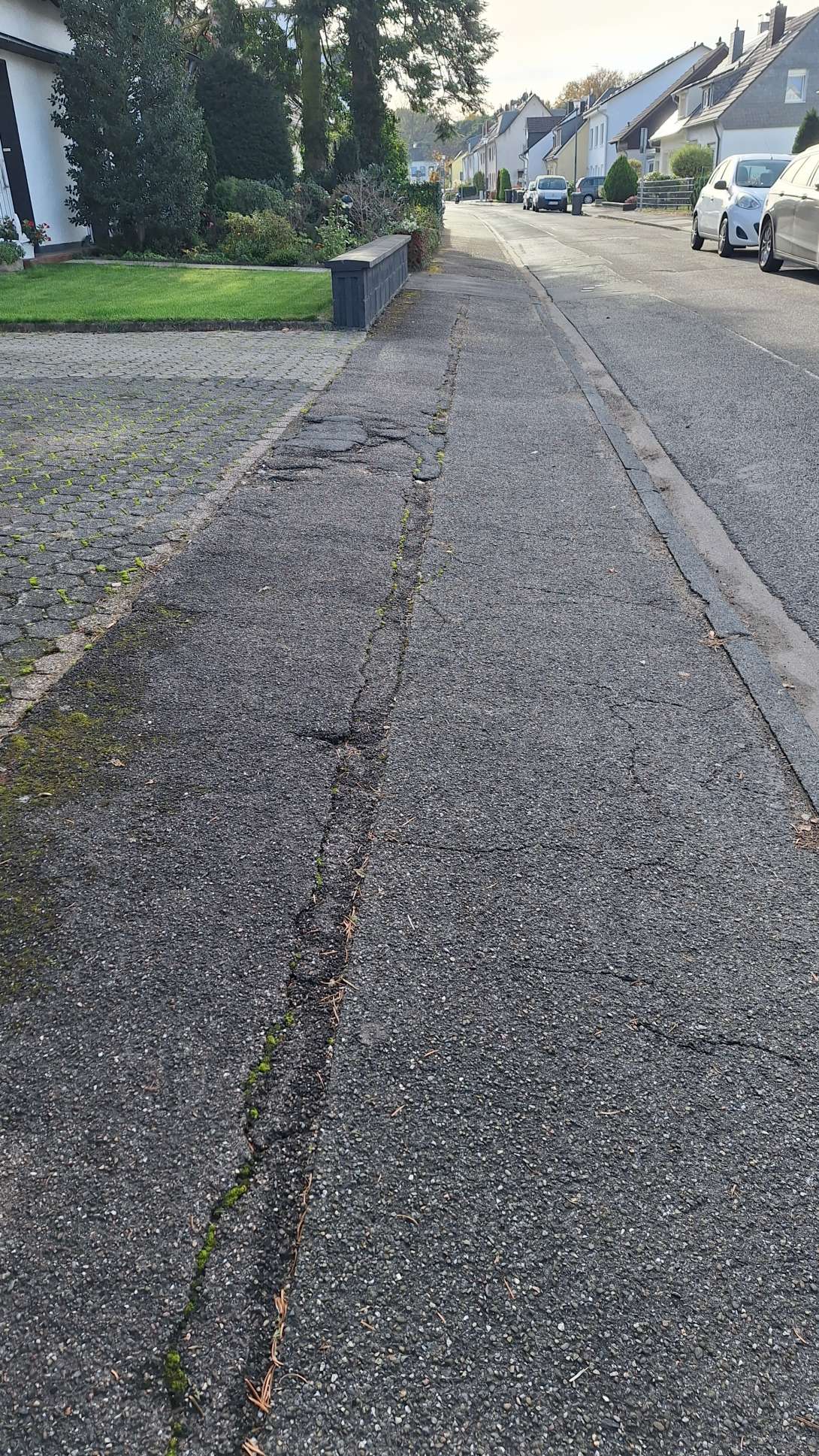 Bild zu gemeldetem Anliegen vom *2025-11-12 12:47:40