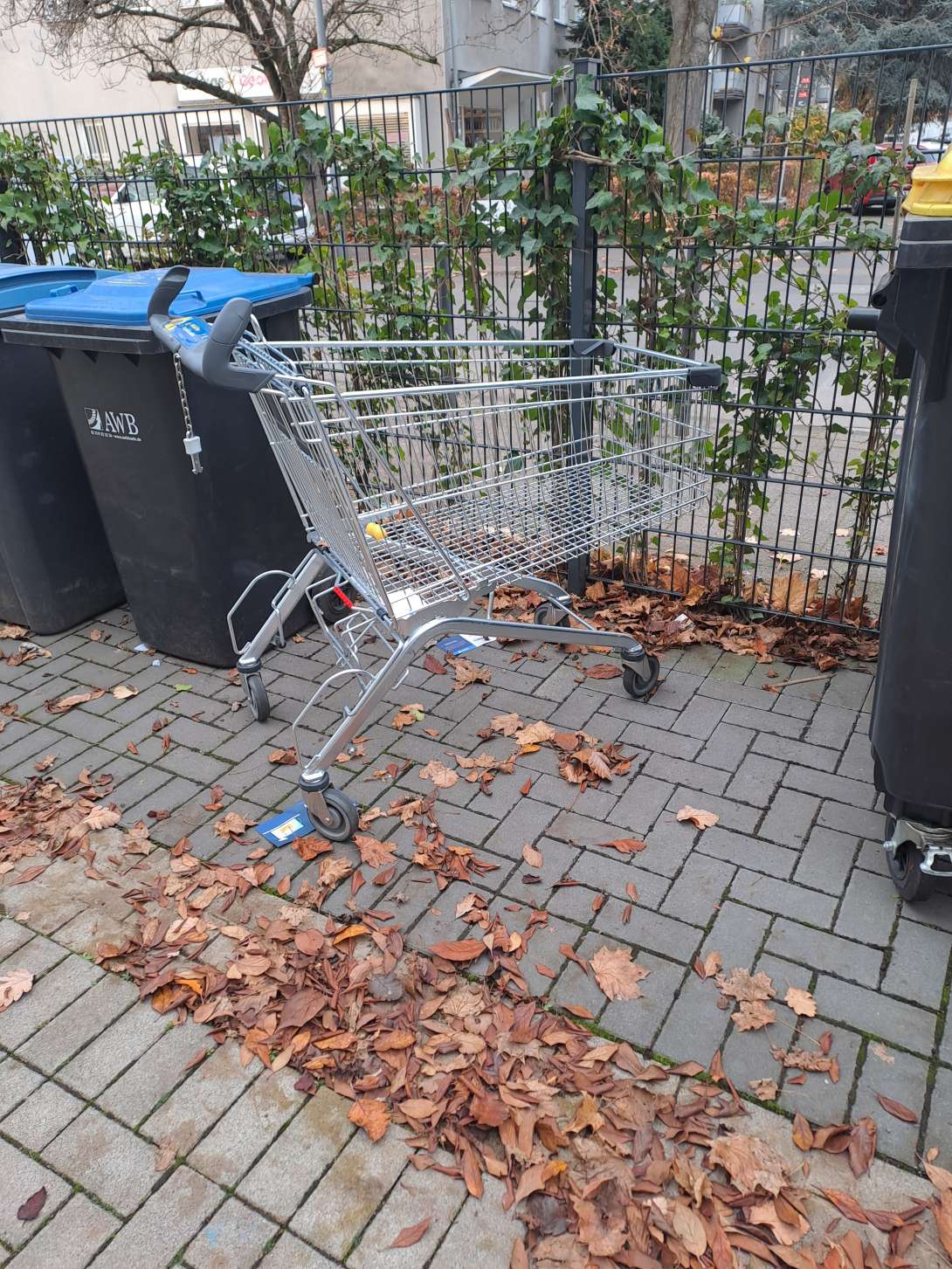 Bild zu gemeldetem Anliegen vom *2025-11-14 09:42:45