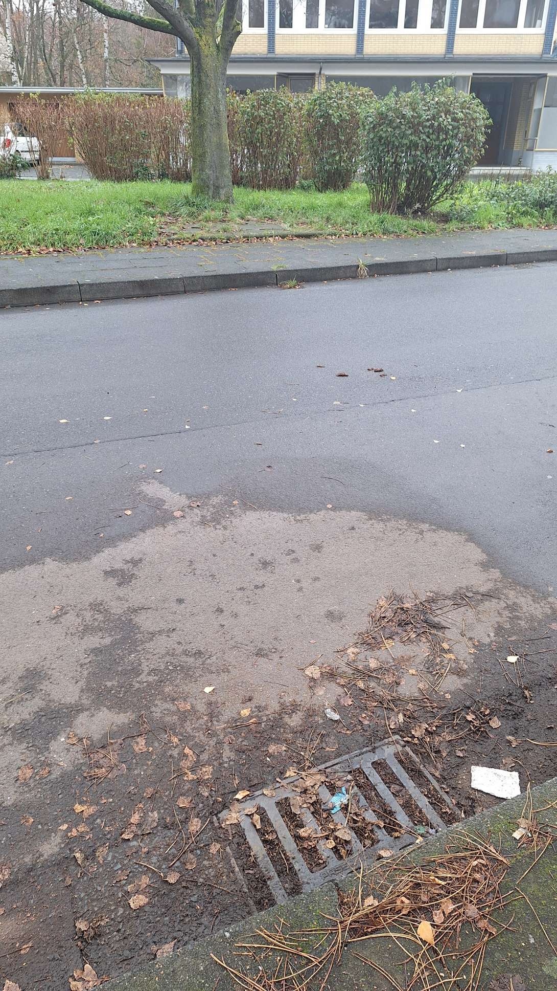 Bild zu gemeldetem Anliegen vom *2025-11-26 10:39:13