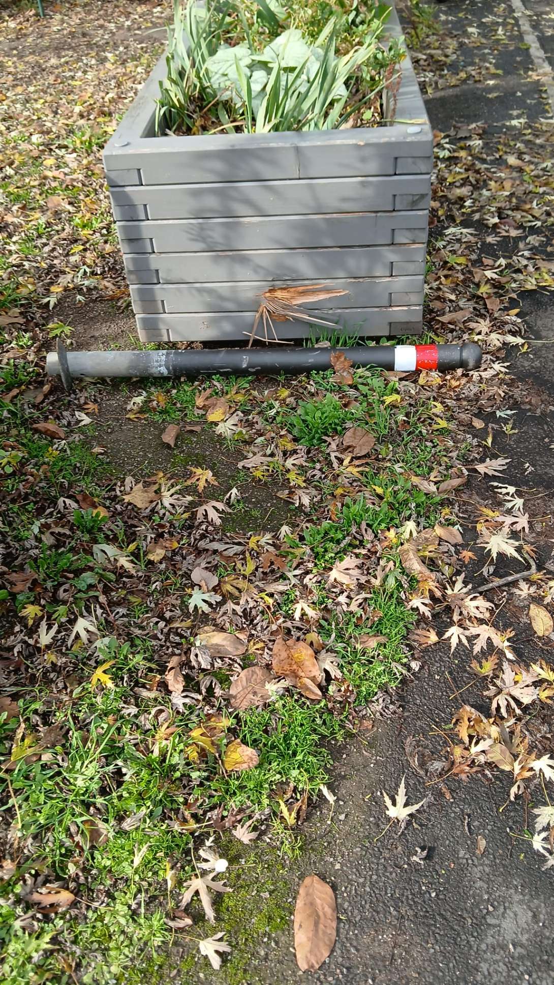 Bild zu gemeldetem Anliegen vom *2025-11-01 13:14:48