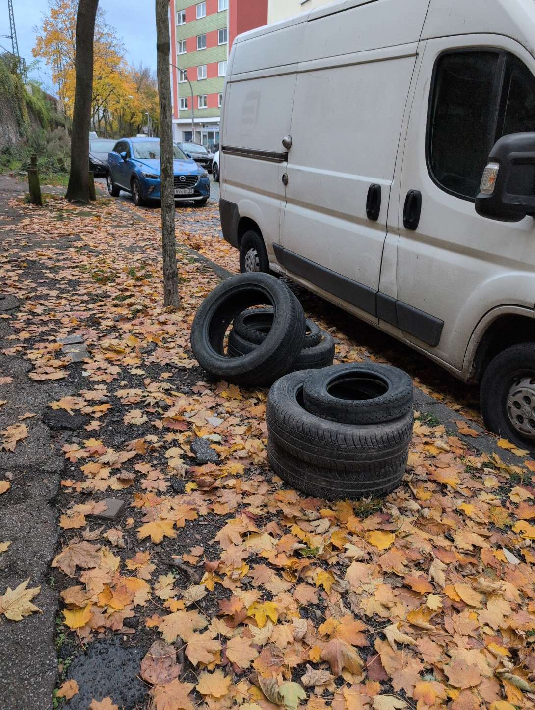 Bild zu gemeldetem Anliegen vom *2025-11-03 12:08:41