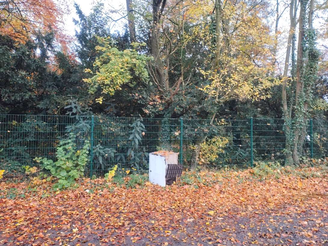 Bild zu gemeldetem Anliegen vom *2025-11-10 10:37:17