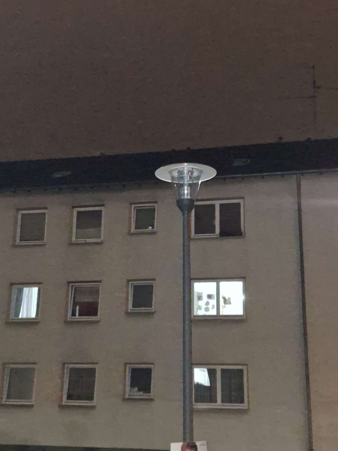 Bild zu gemeldetem Anliegen vom *2025-11-10 21:30:06