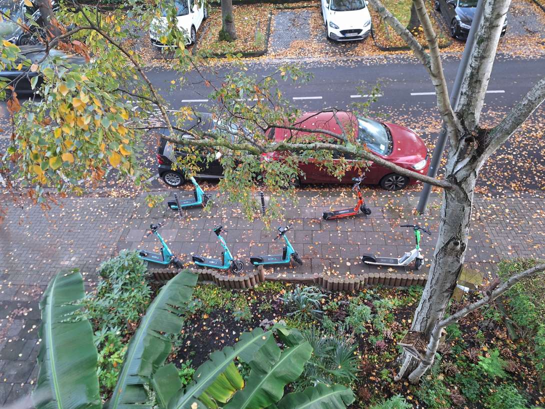 Bild zu gemeldetem Anliegen vom *2025-11-03 18:27:47