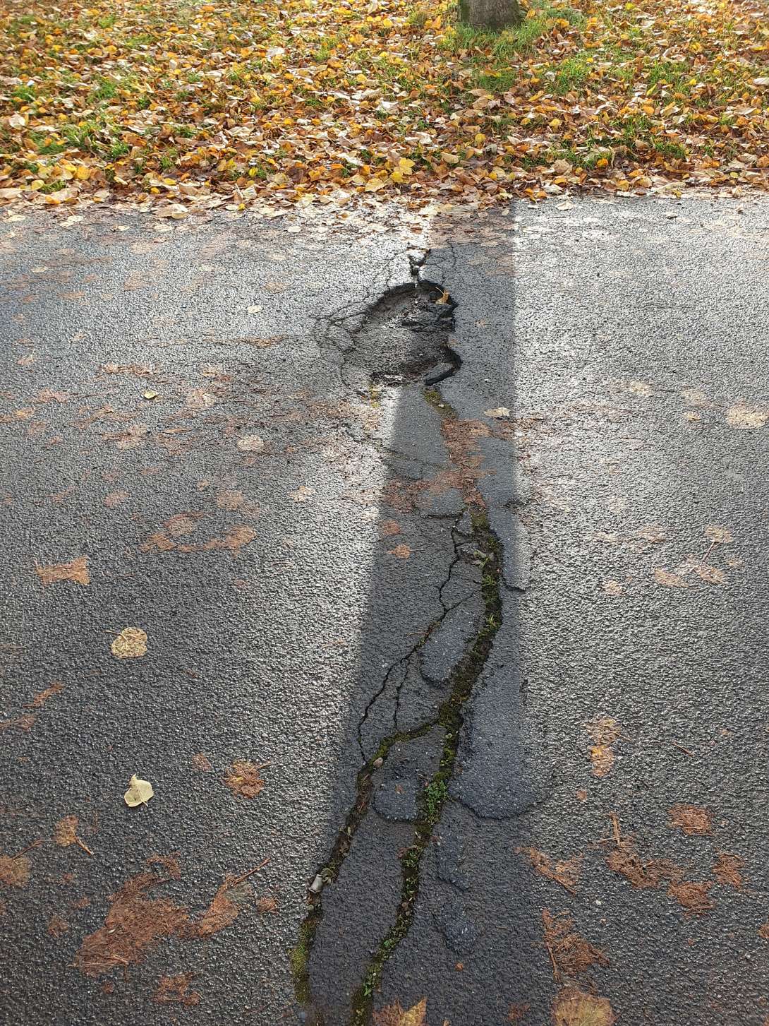 Bild zu gemeldetem Anliegen vom *2025-11-19 09:14:08