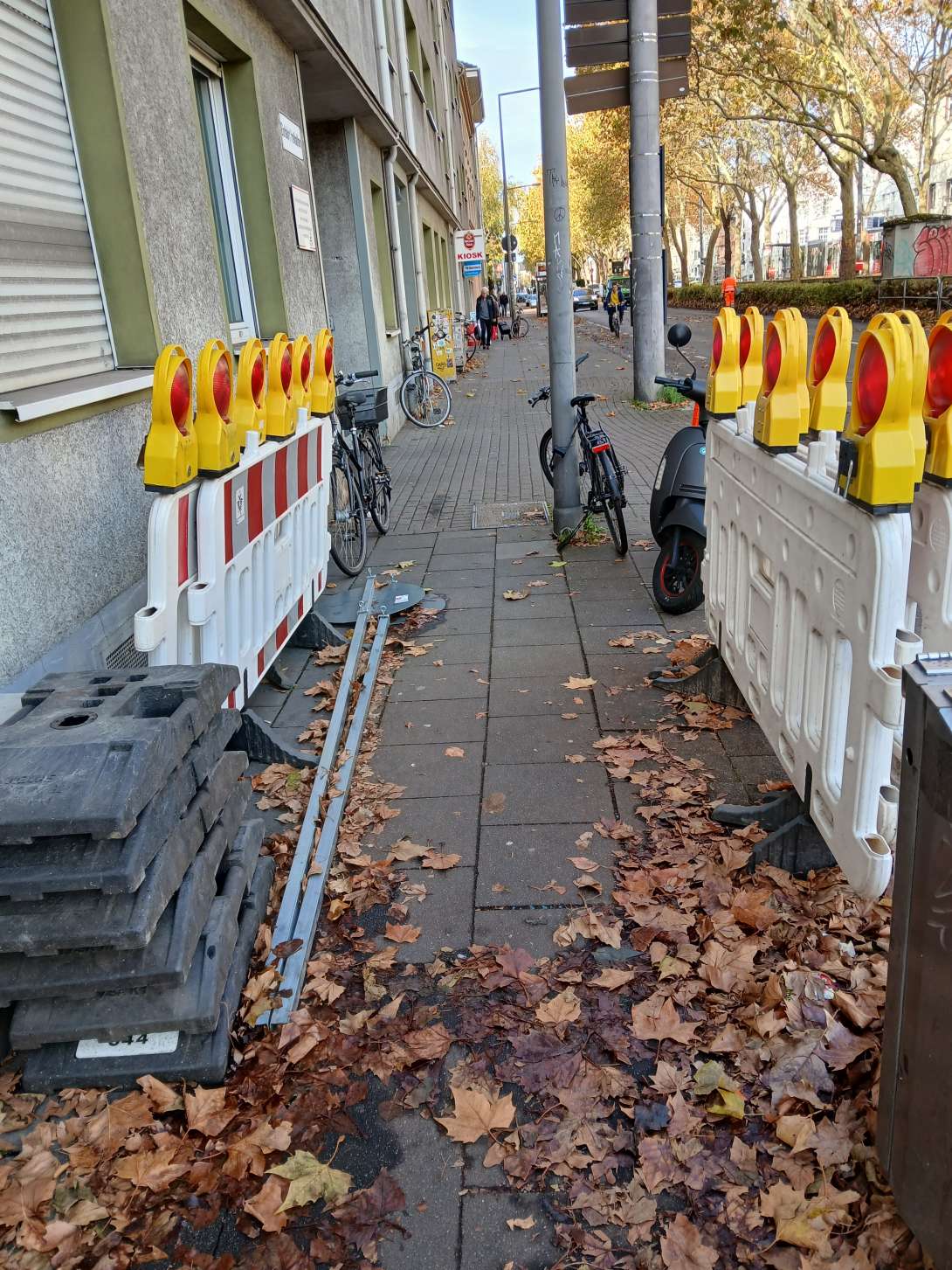 Bild zu gemeldetem Anliegen vom *2025-11-03 13:13:29