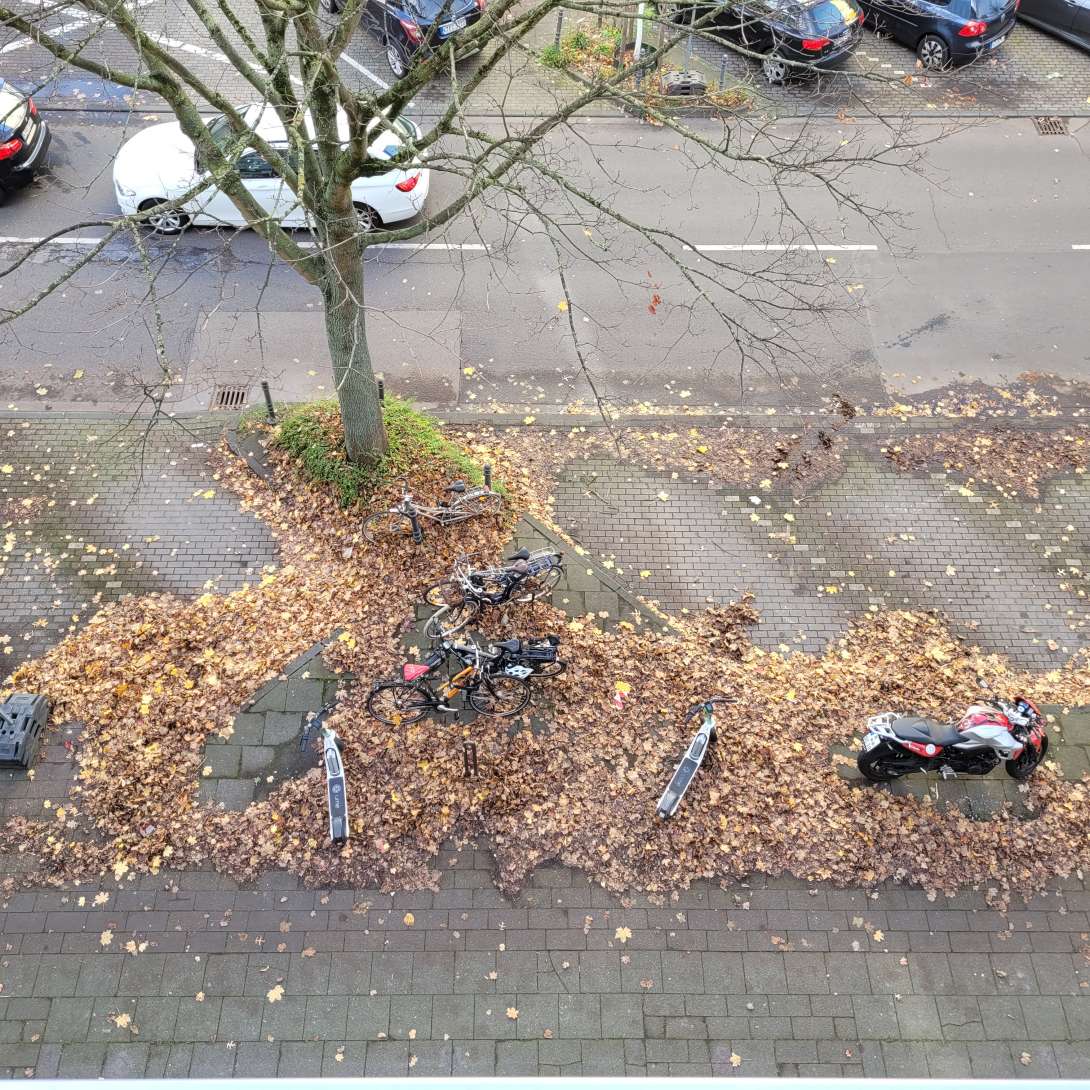 Bild zu gemeldetem Anliegen vom *2025-11-03 14:25:38